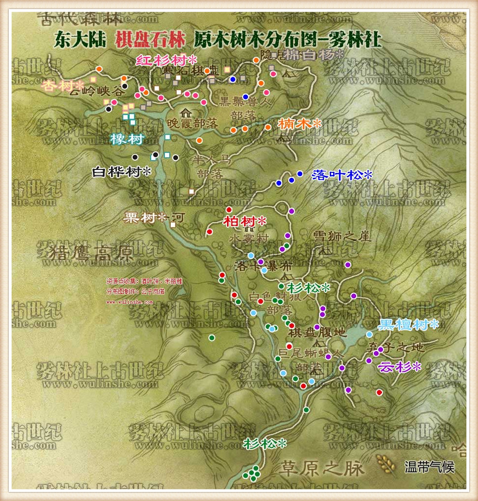 棋盘石林树木