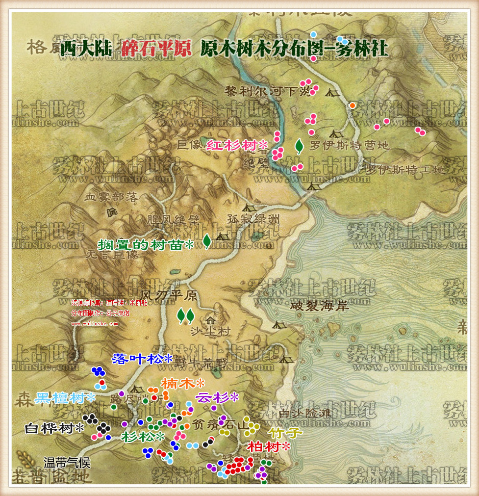 碎石平原树木