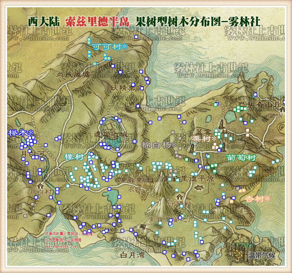 索兹里德半岛树木