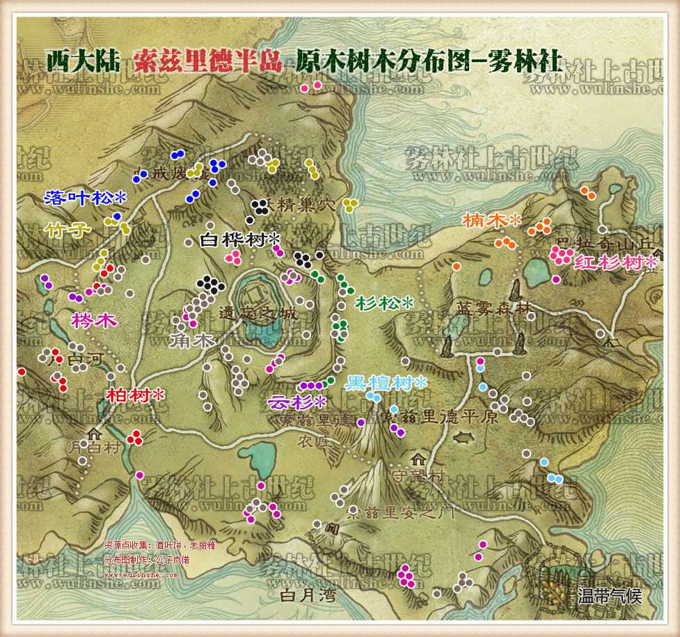 索兹里德半岛树木