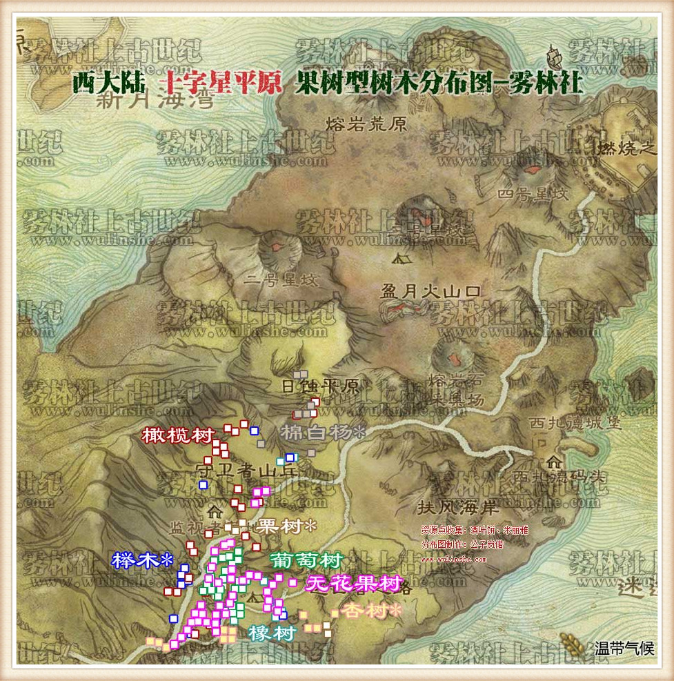 十字星平原树木