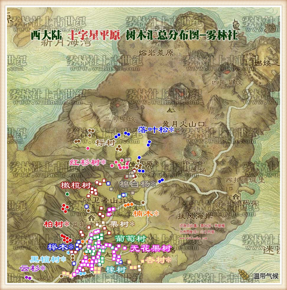 十字星平原树木