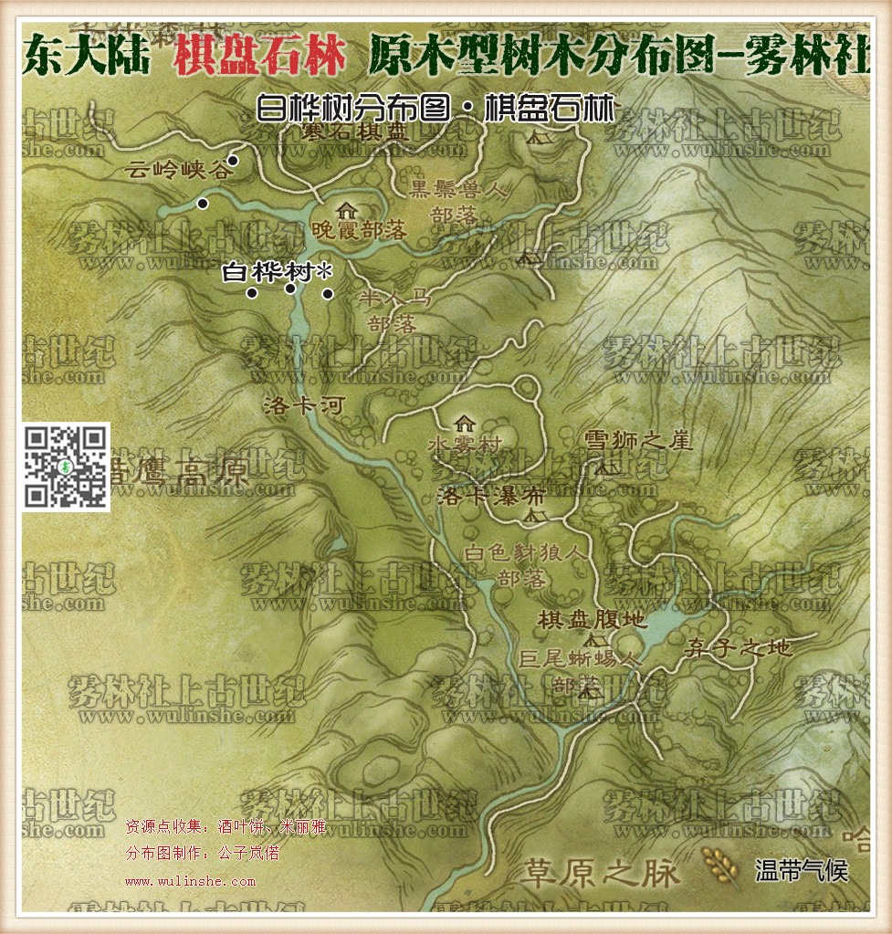 东大陆棋盘石林白桦树