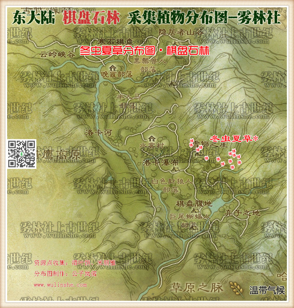 东大陆摩哈特比冬虫夏草