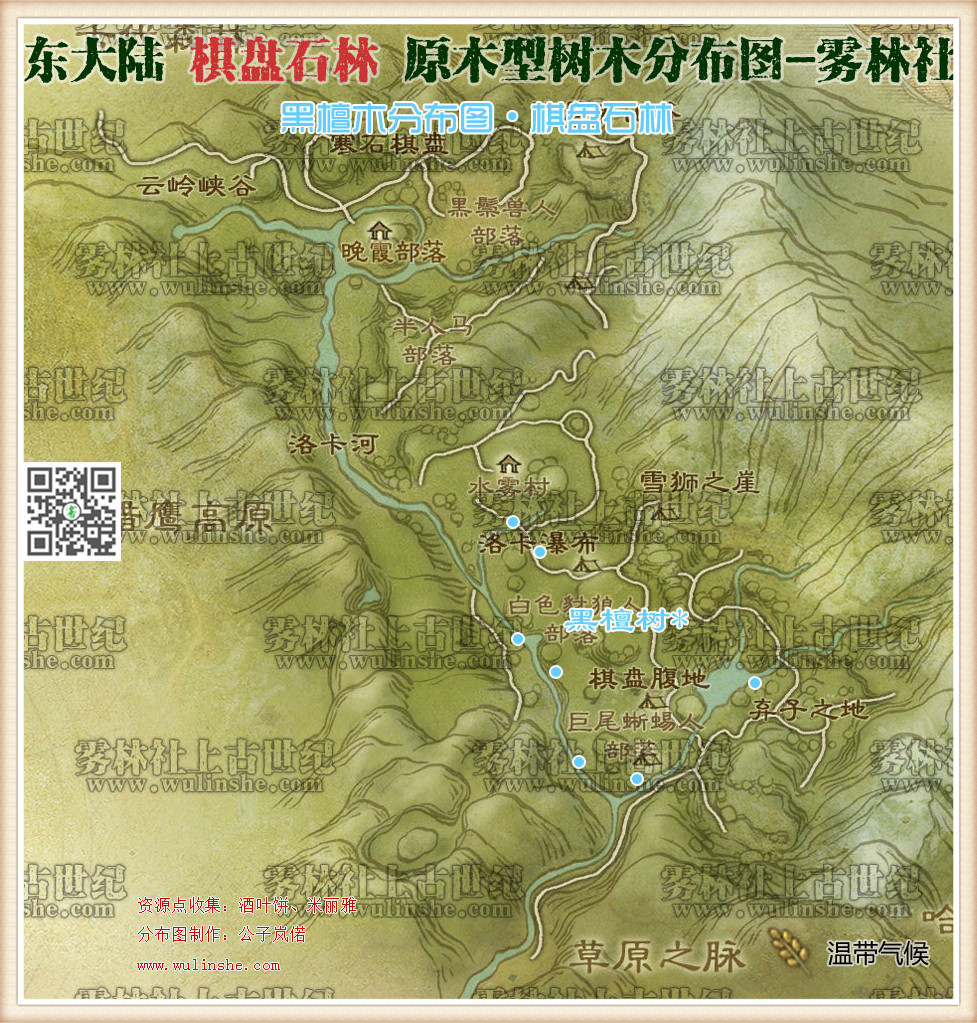 东大陆棋盘石林黑檀木