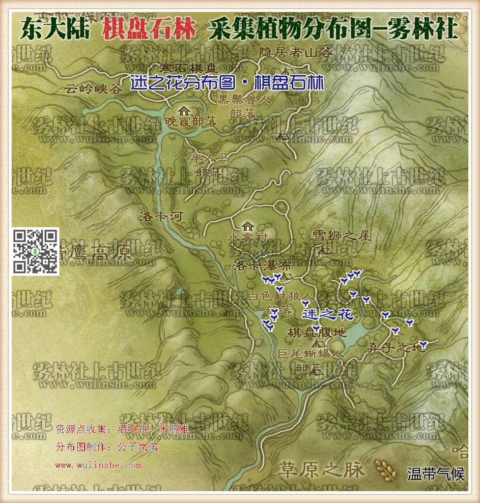 东大陆棋盘石林迷之花