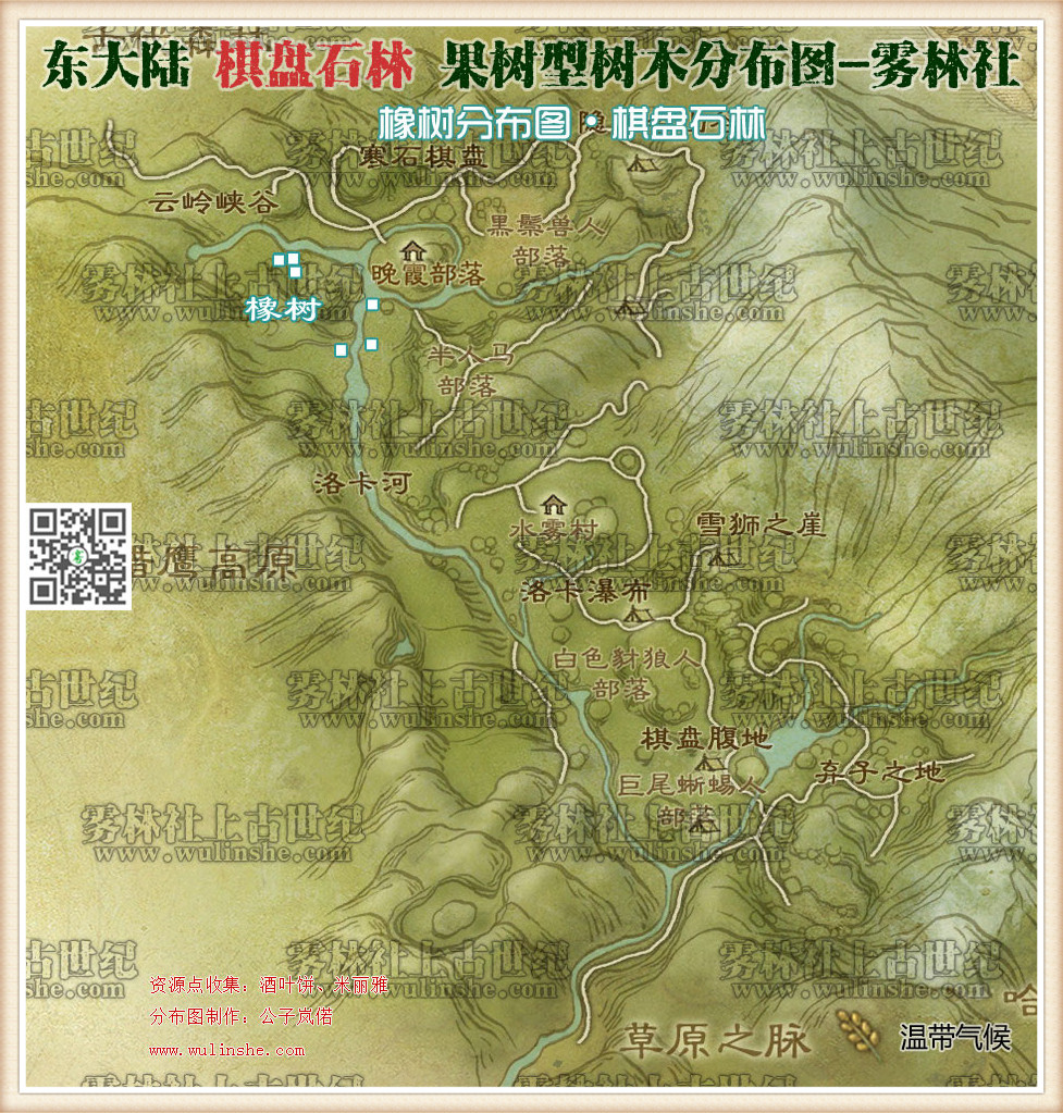 东大陆棋盘石林墟橡树