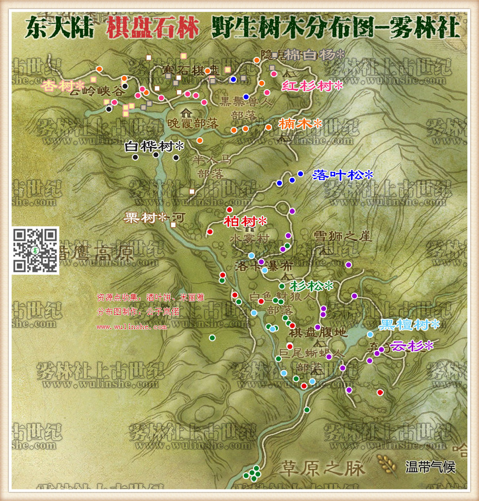 东大陆棋盘石林野生树木