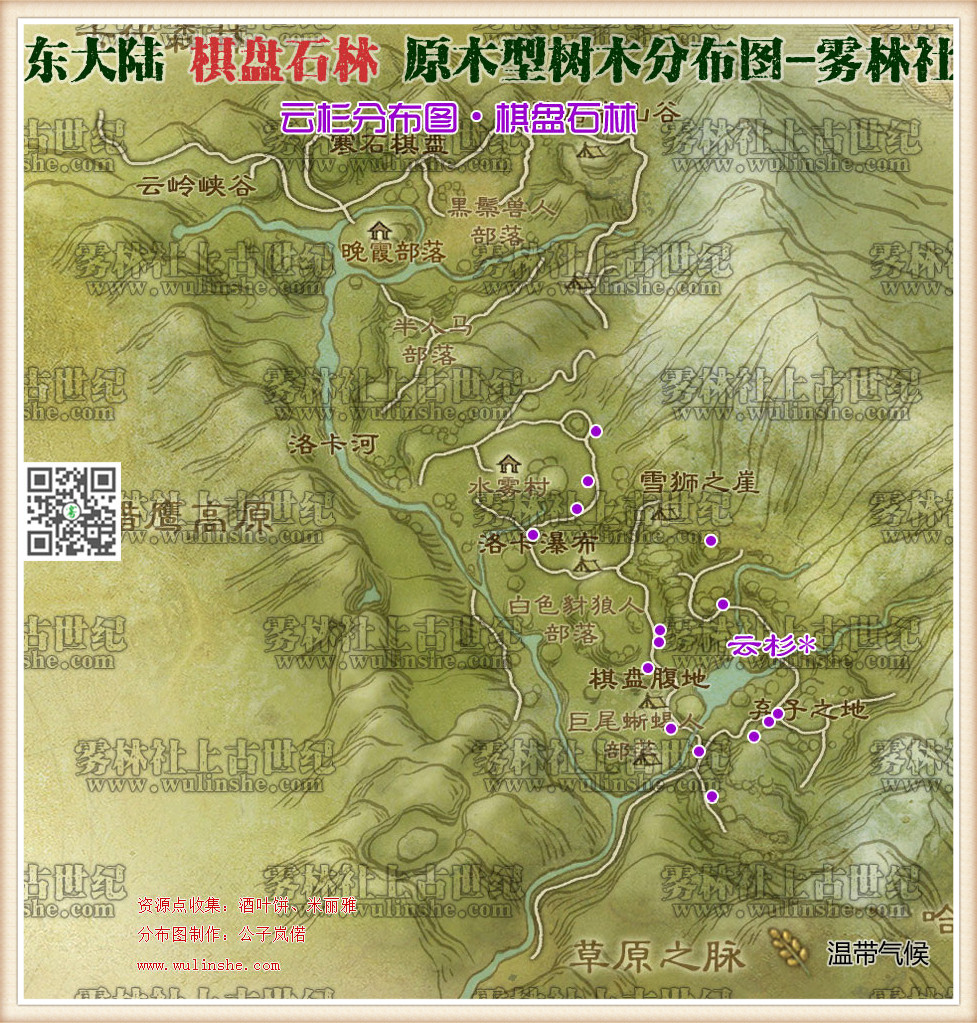 东大陆棋盘石林云杉