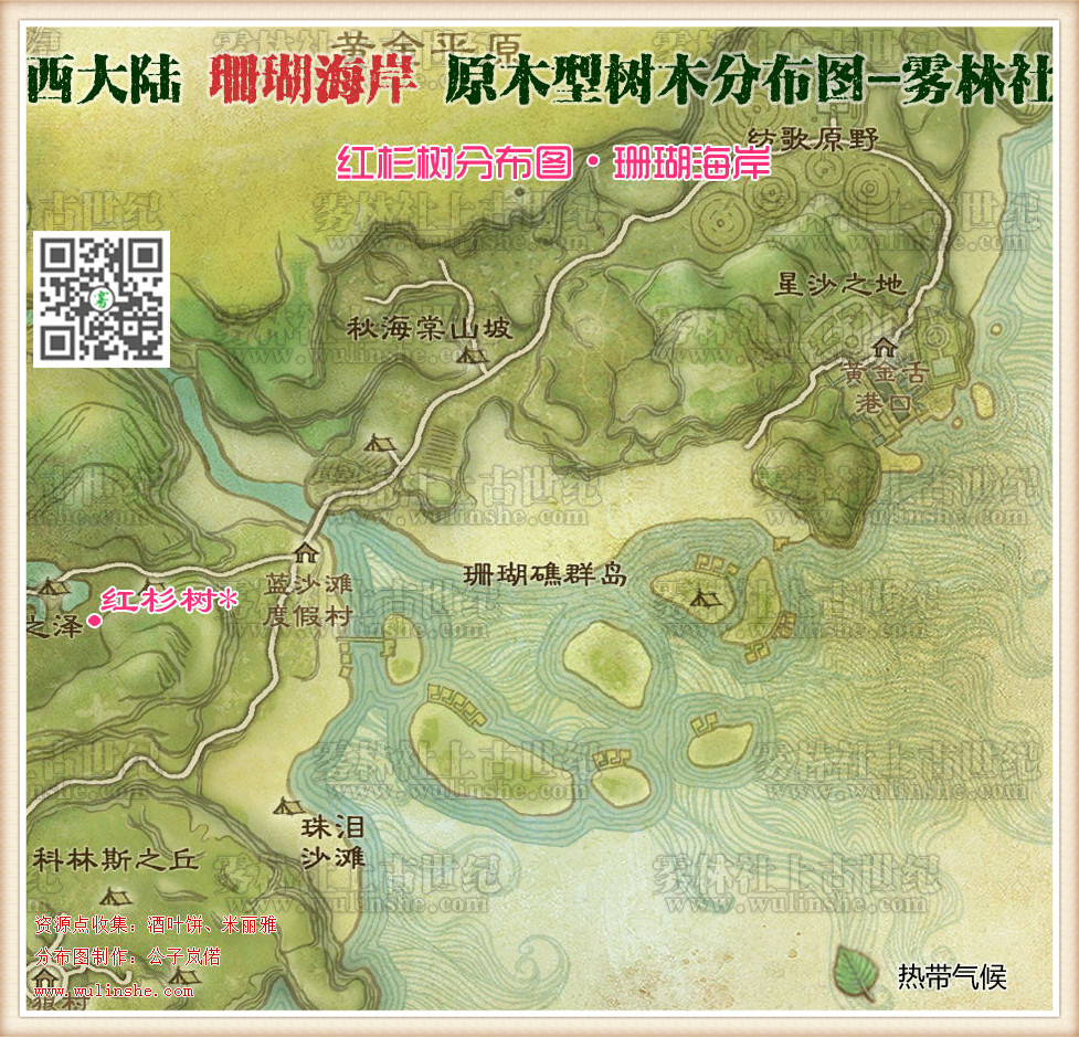 珊瑚海岸红杉树
