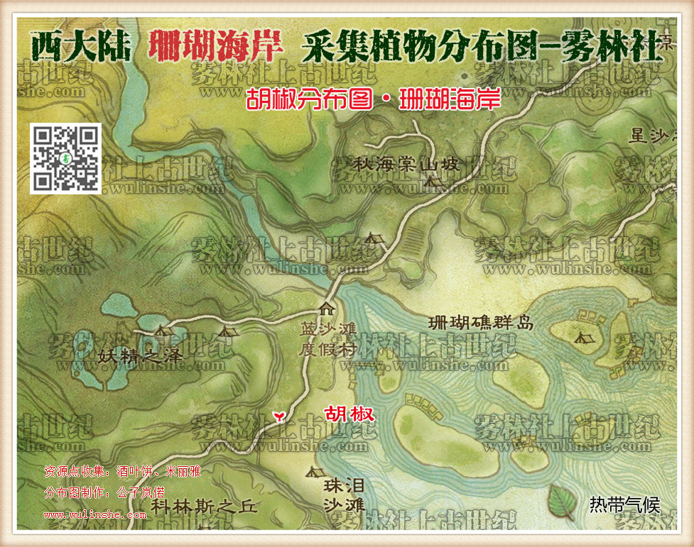 珊瑚海岸