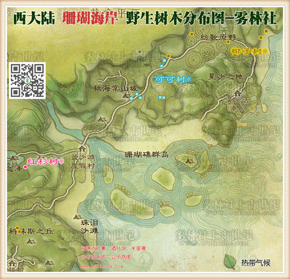 西大陆珊瑚海岸野生树木