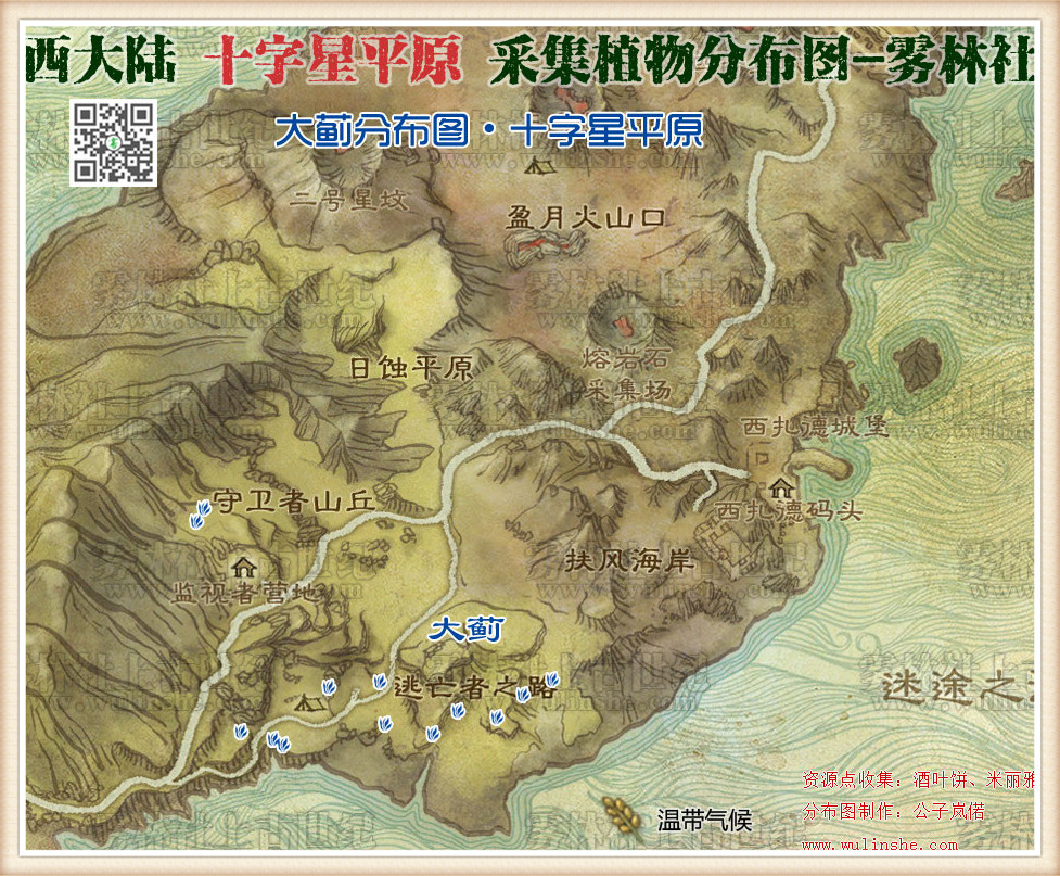西大陆十字星平原大蓟