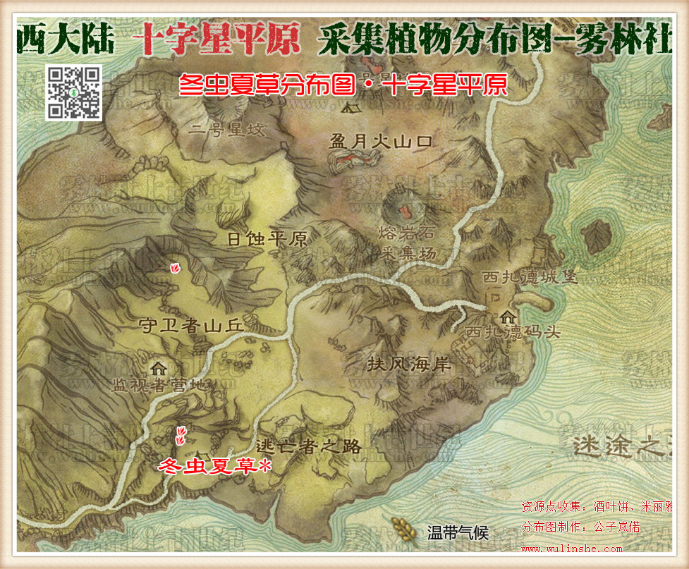 西大陆十字星平原冬虫夏草
