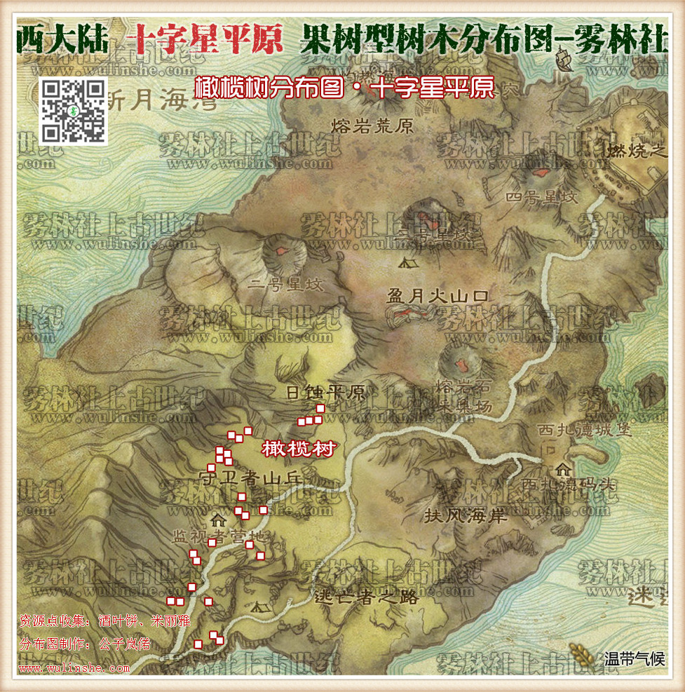 西大陆十字星平原橄榄树