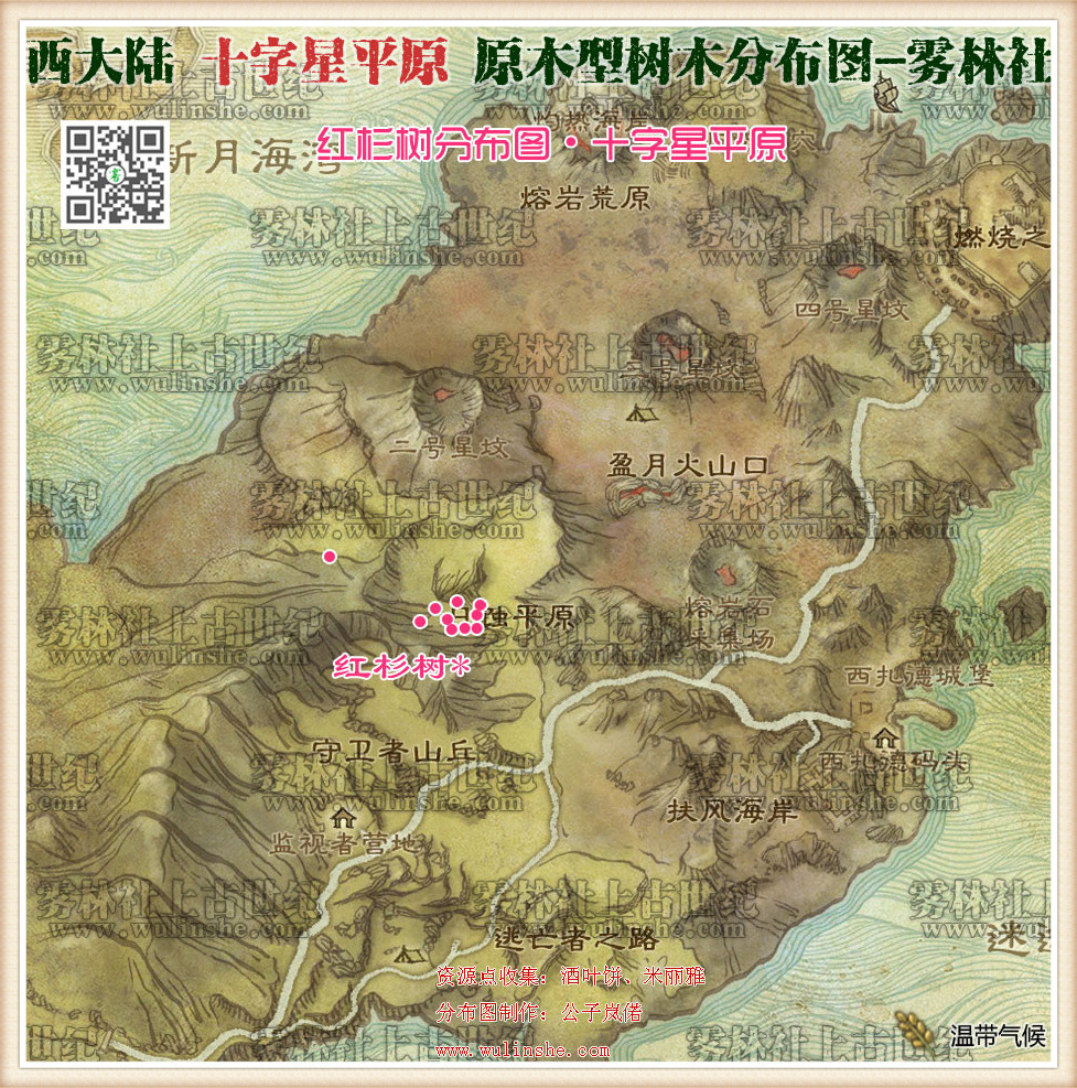 十字星平原红杉树