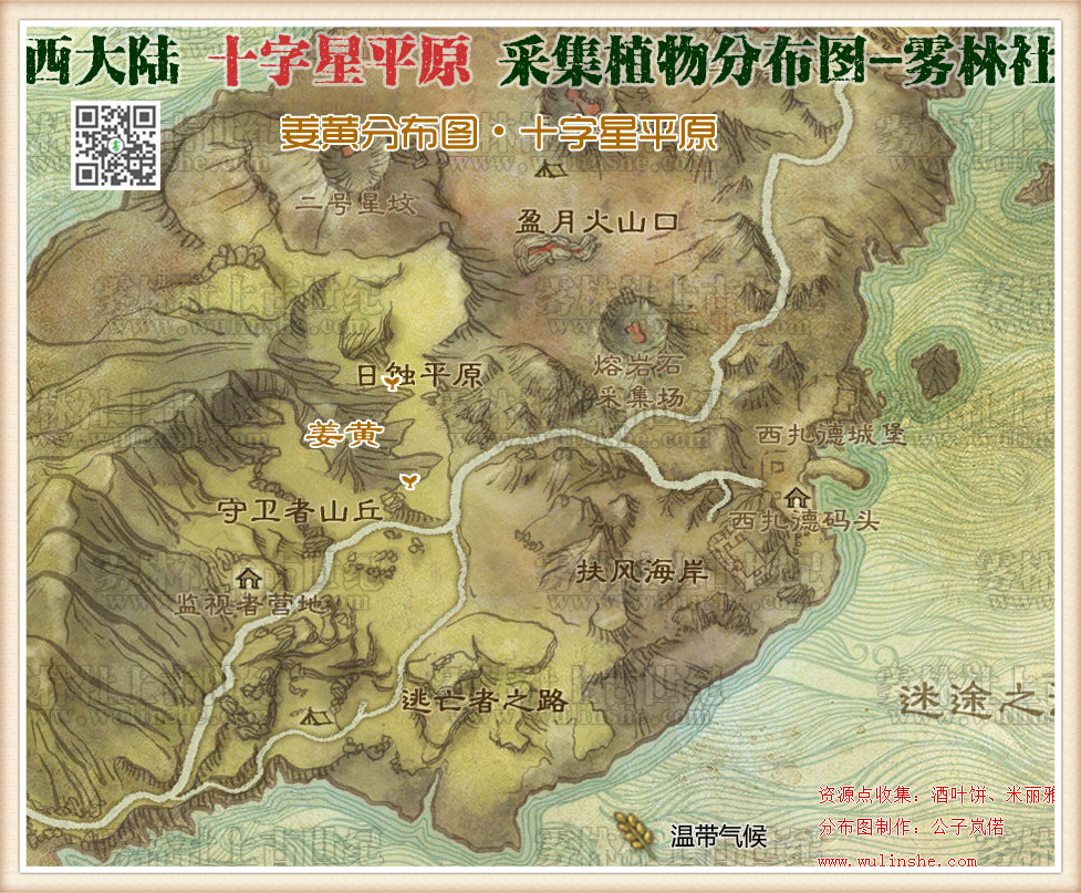 西大陆十字星平原姜黄