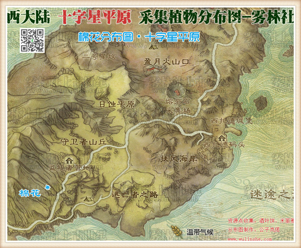 西大陆十字星平原mianhua