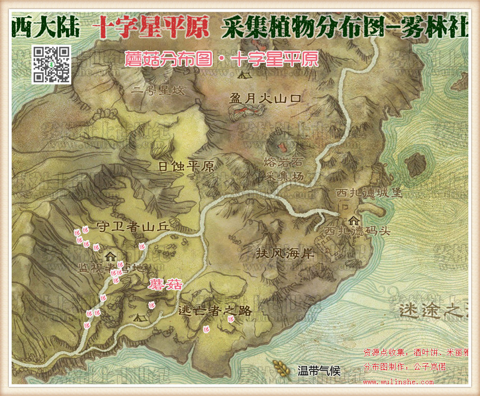 西大陆十字星平原蘑菇