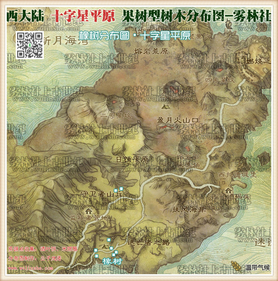 西大陆十字星平原橡树