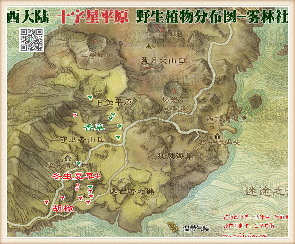 西大陆十字星平原野生植物综合