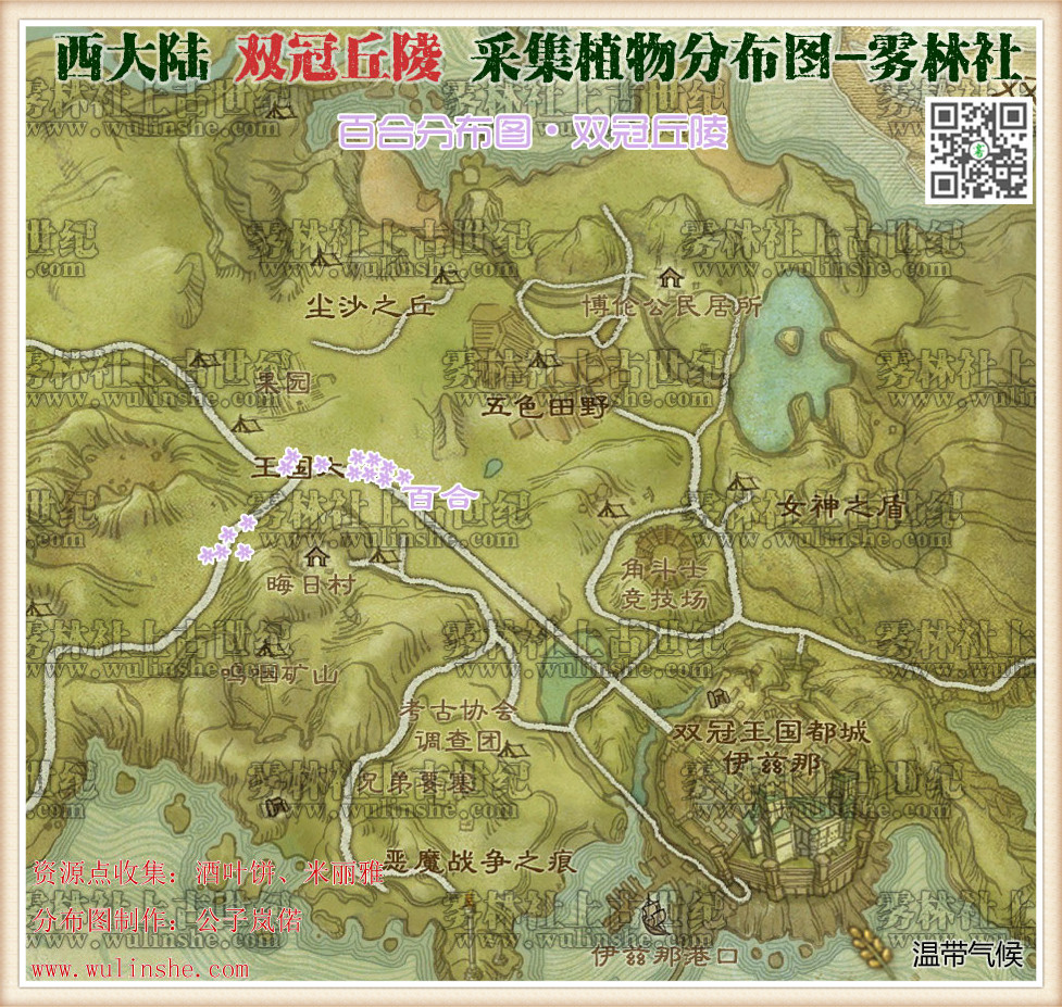 西大陆双冠丘陵百合