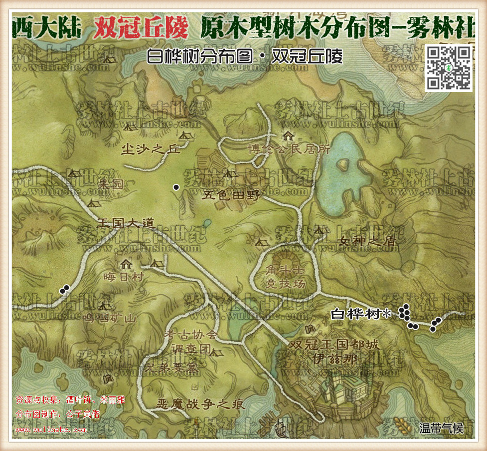 双冠丘陵白桦树