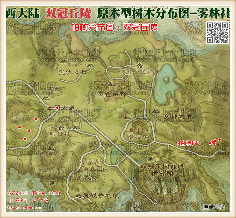 双冠丘陵柏树