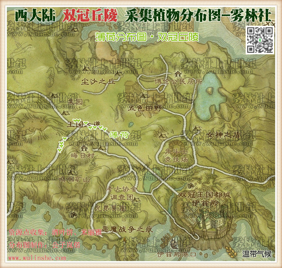 西大陆双冠丘陵薄荷