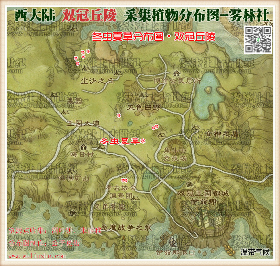 西大陆双冠丘陵冬虫夏草