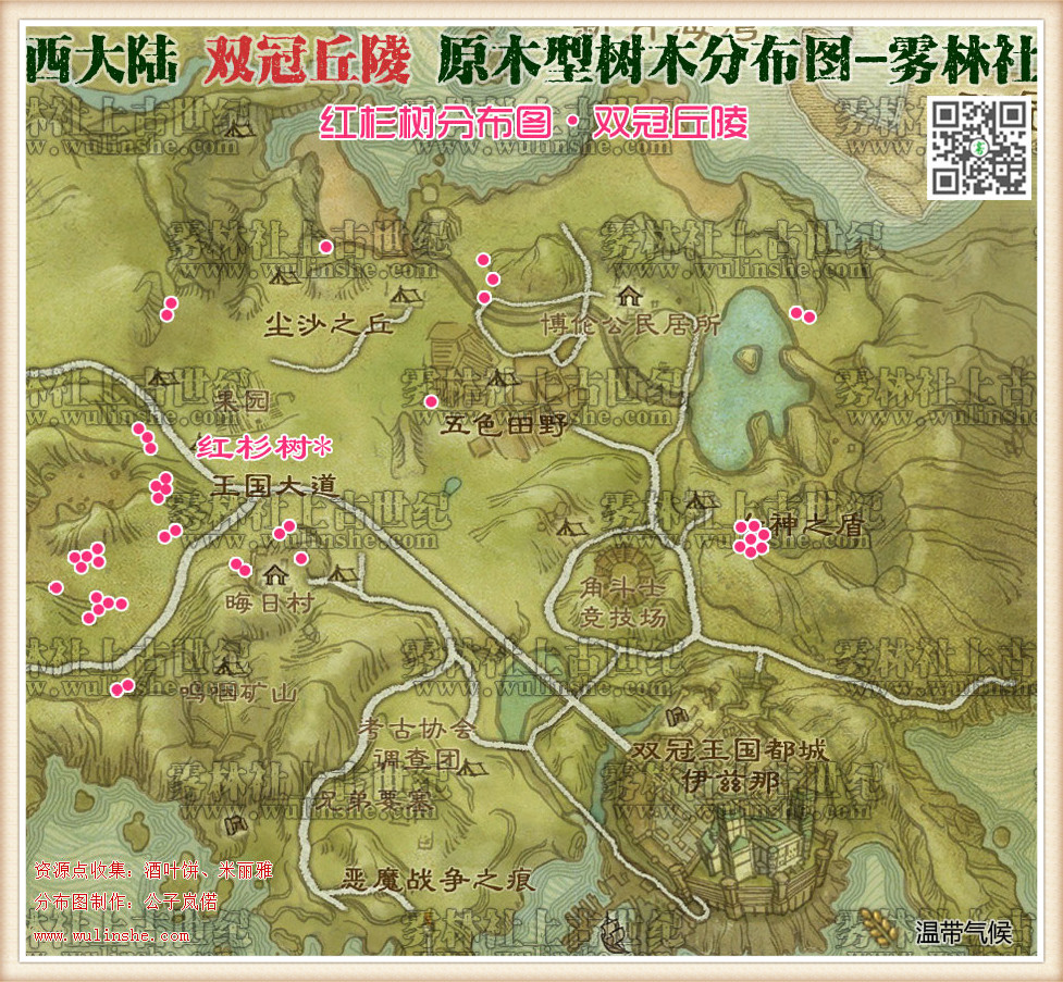 双冠丘陵红杉树