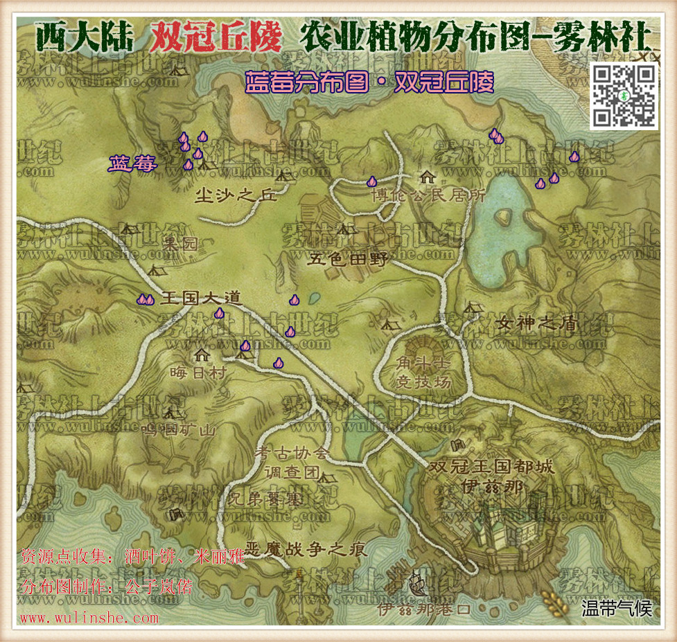 双冠丘陵蓝莓