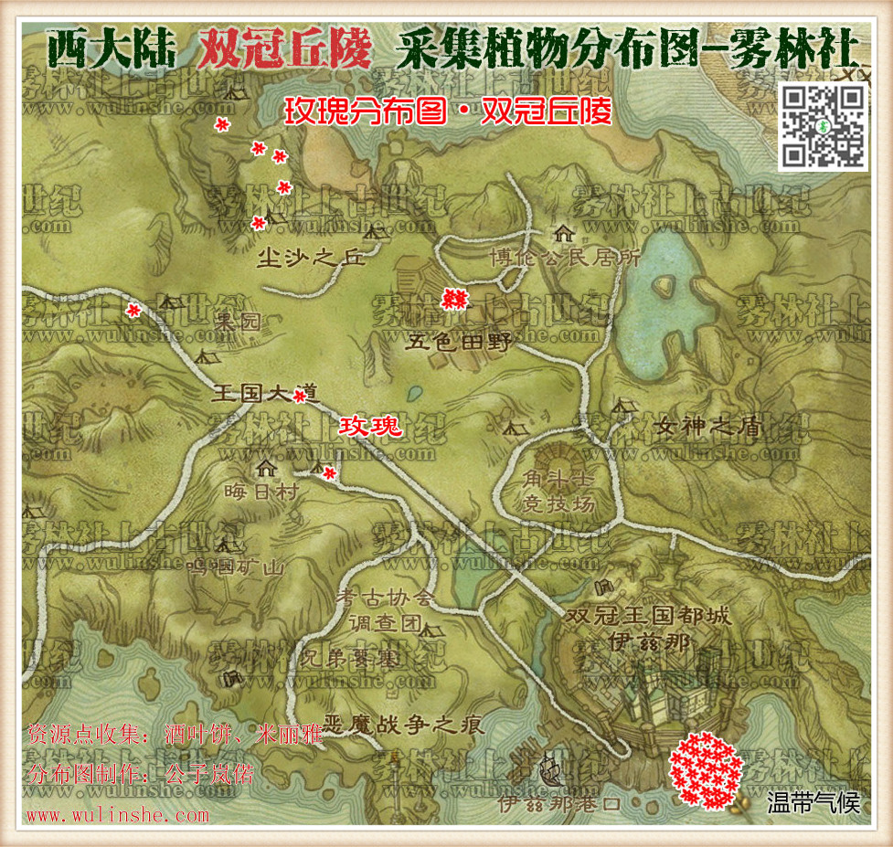 西大陆双冠丘陵玫瑰