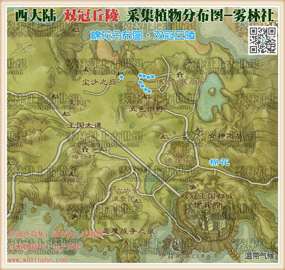 西大陆双冠丘陵棉花