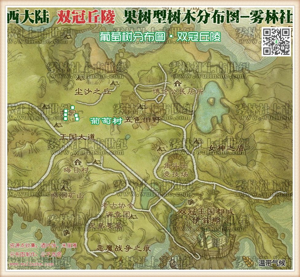 双冠丘陵葡萄树