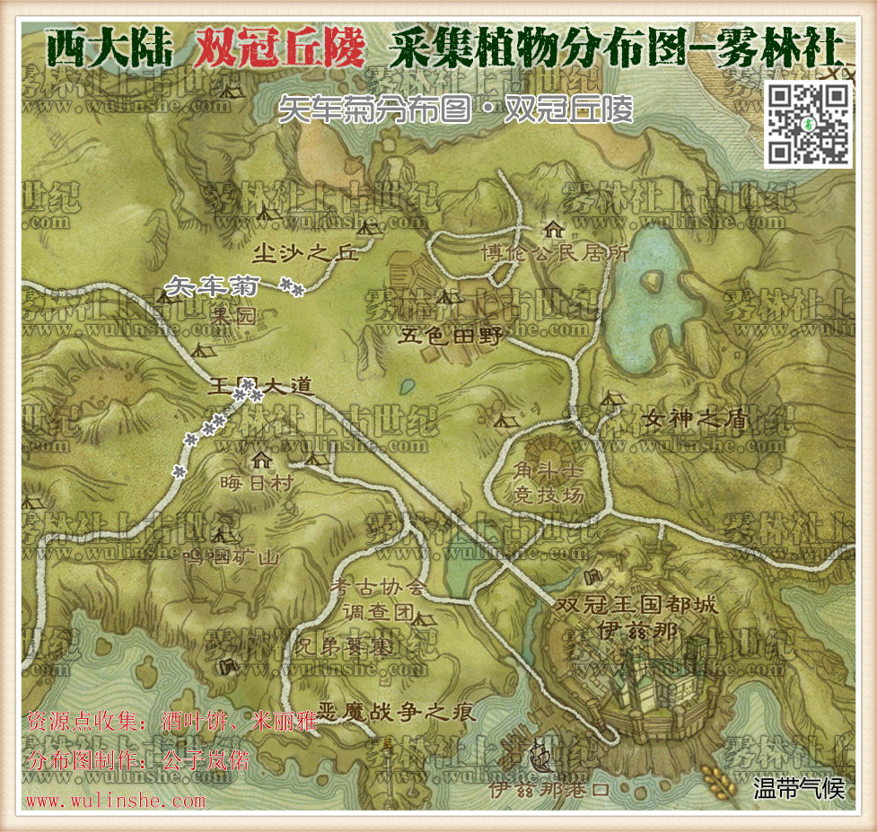 西大陆双冠丘陵矢车菊