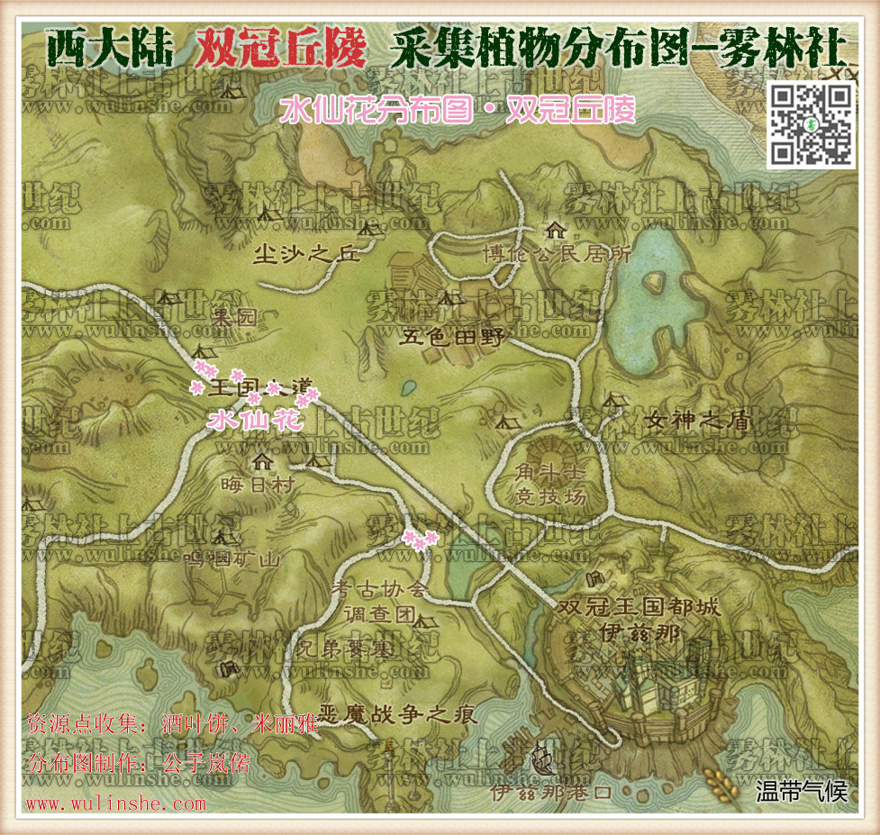 西大陆双冠丘陵水仙花