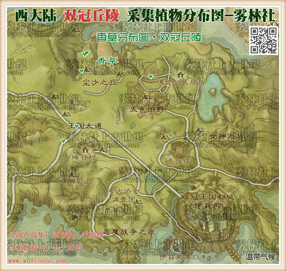 西大陆双冠丘陵香草