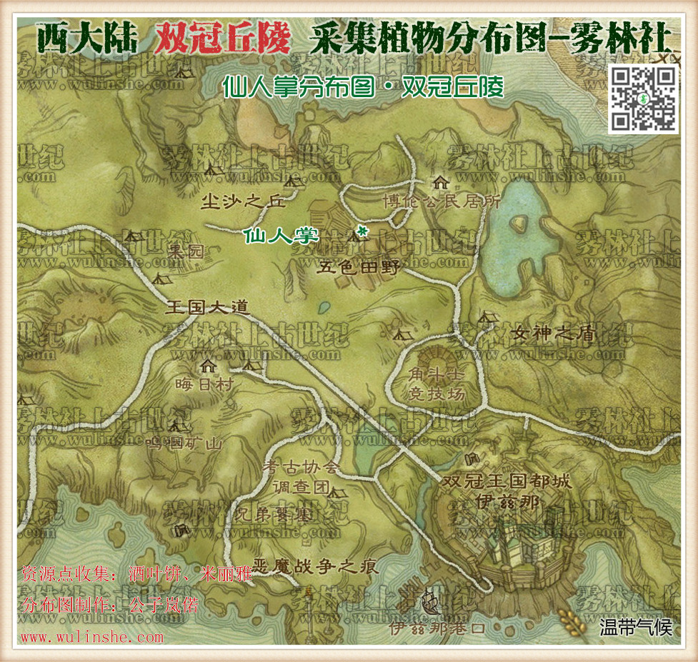 西大陆双冠丘陵仙人掌