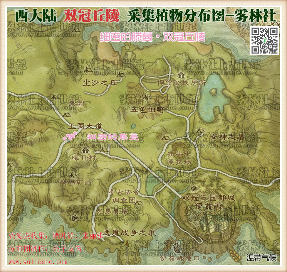西大陆双冠丘陵细密的藤蔓