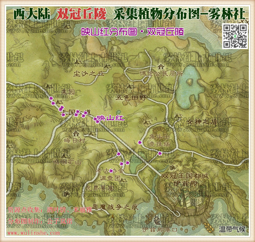 西大陆双冠丘陵映山红
