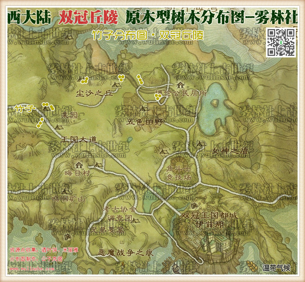 双冠丘陵竹子