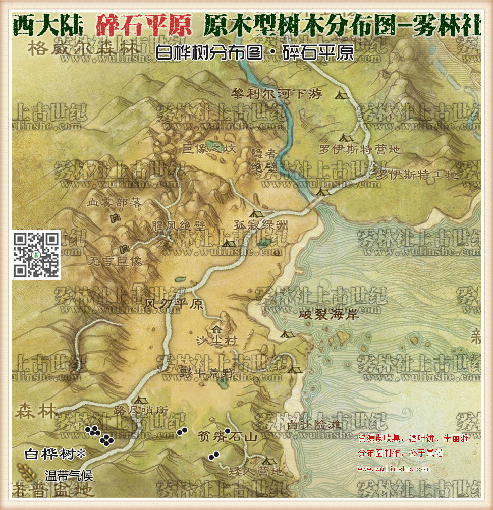 碎石平原白桦树