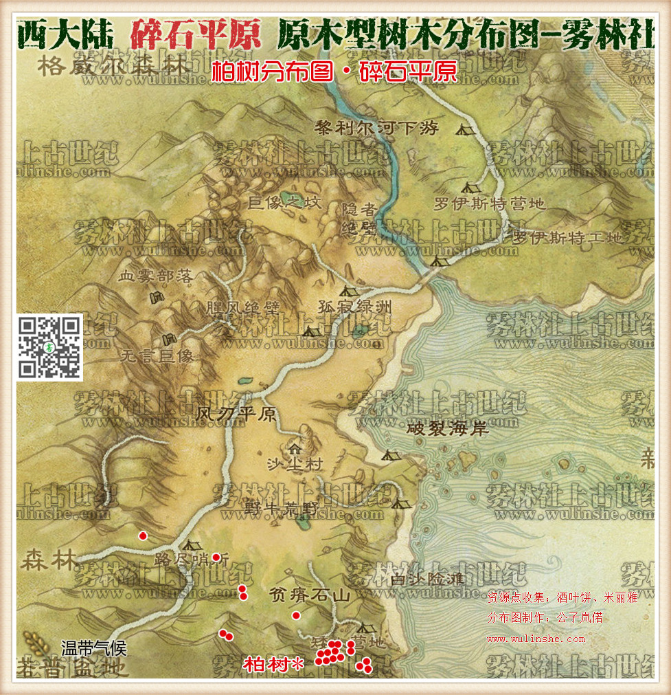 碎石平原柏树