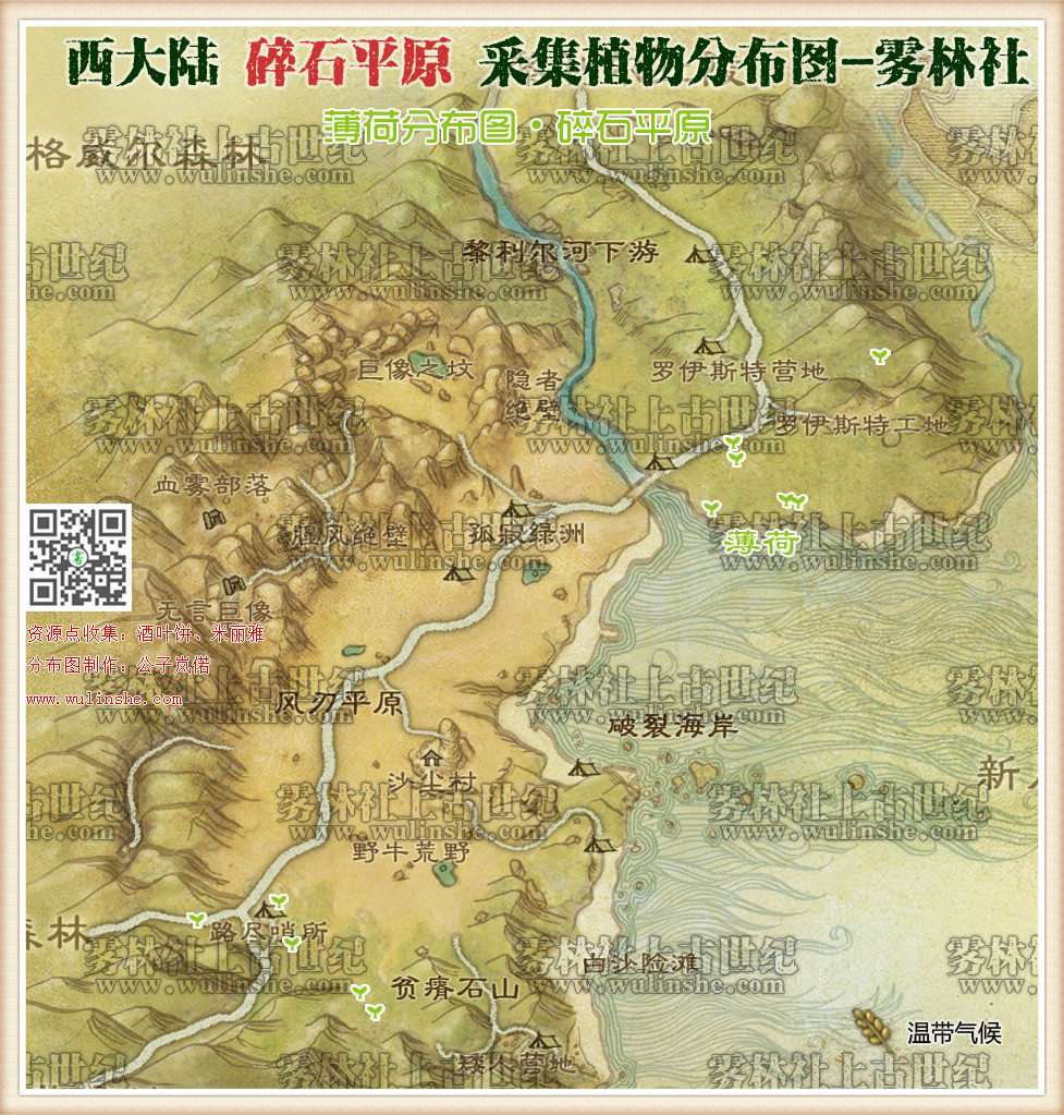 西大陆碎石平原薄荷