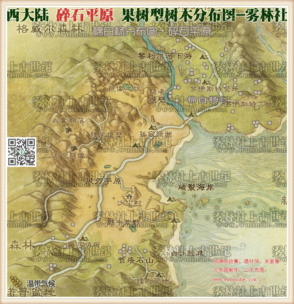 碎石平原棉白杨