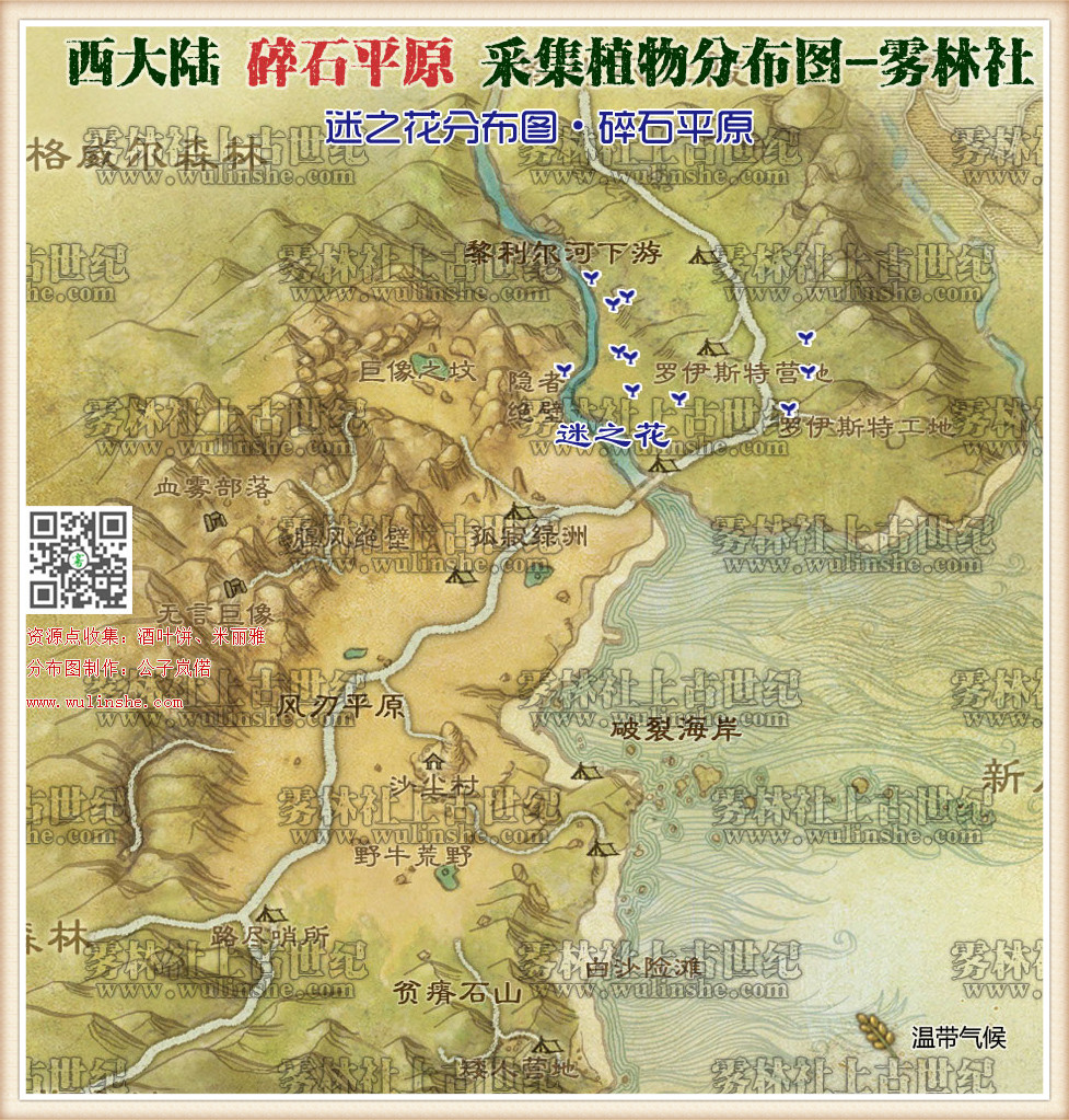 西大陆碎石平原迷之花