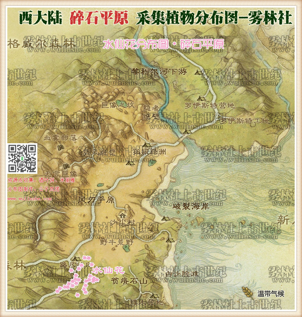 西大陆碎石平原水仙花