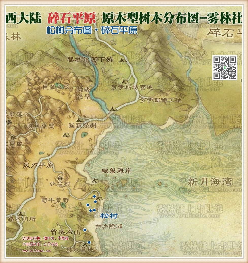 碎石平原松树