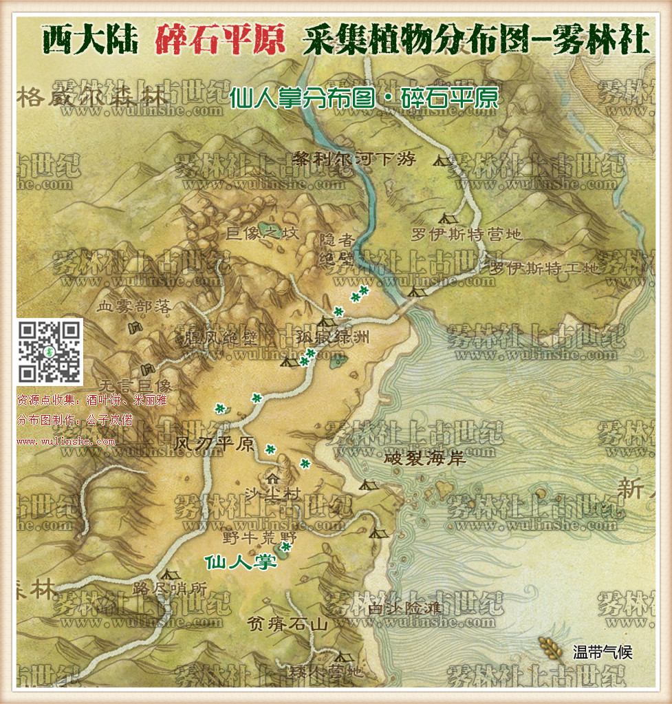 西大陆碎石平原仙人掌